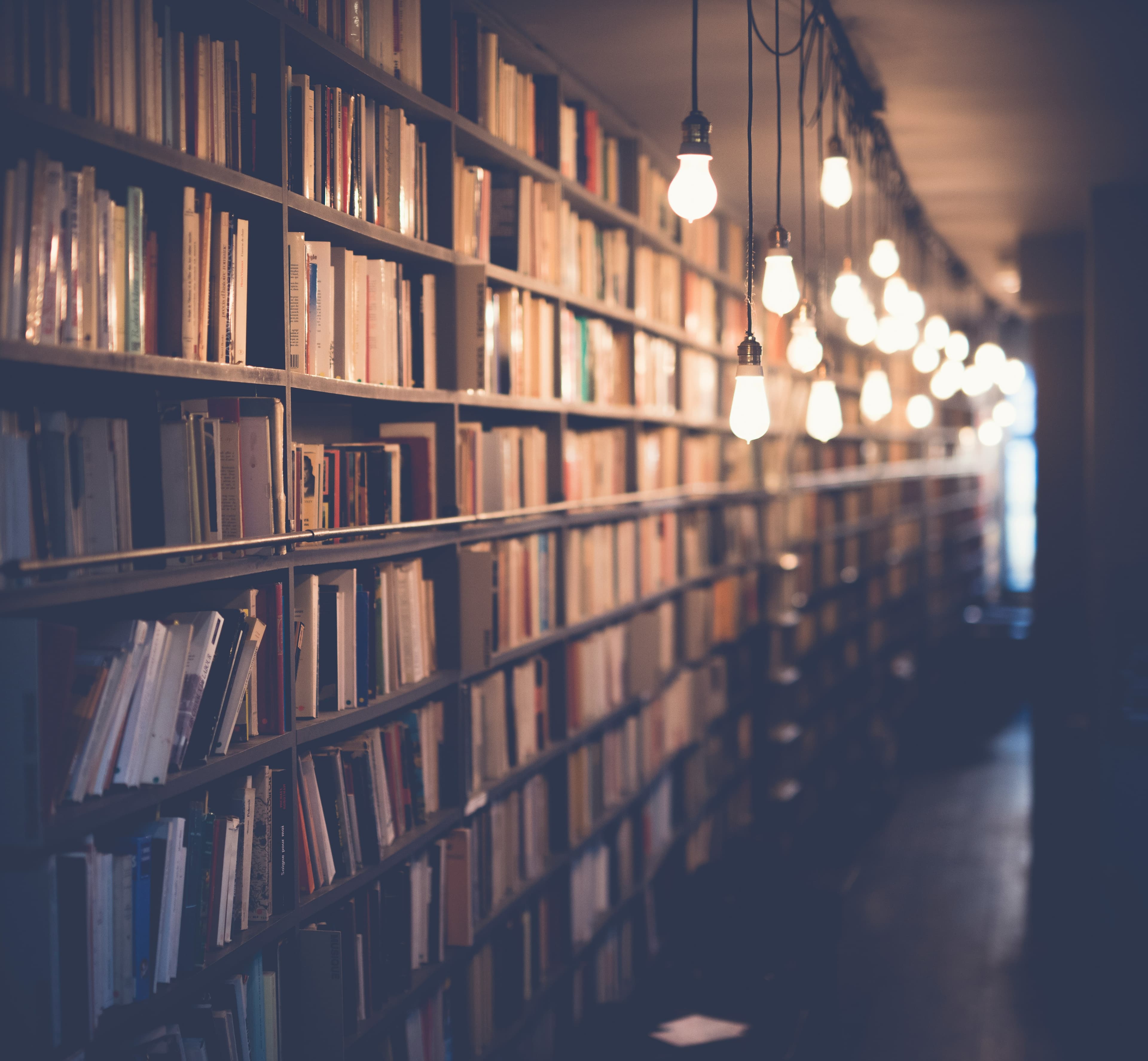 Aesthetic Dark Library